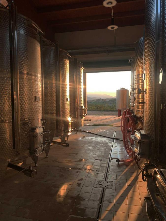 Agriturismo Biocore 2 - Colledoro Pertisau Ngoại thất bức ảnh