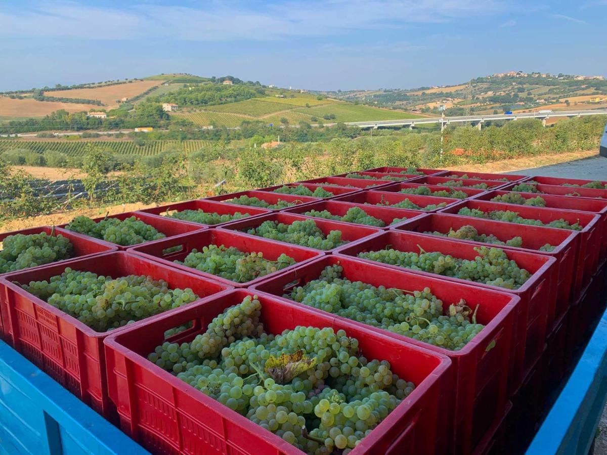 Agriturismo Biocore 2 - Colledoro Pertisau Ngoại thất bức ảnh
